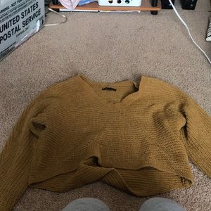 American eagle Long sleeve sweater crop top